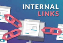 Internal Link - Liên Kết Nội Bộ và Vai Trò Quan Trọng Trong SEO