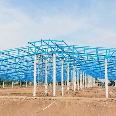 NHÀ TÔM GIỐNG DƯƠNG HÙNG